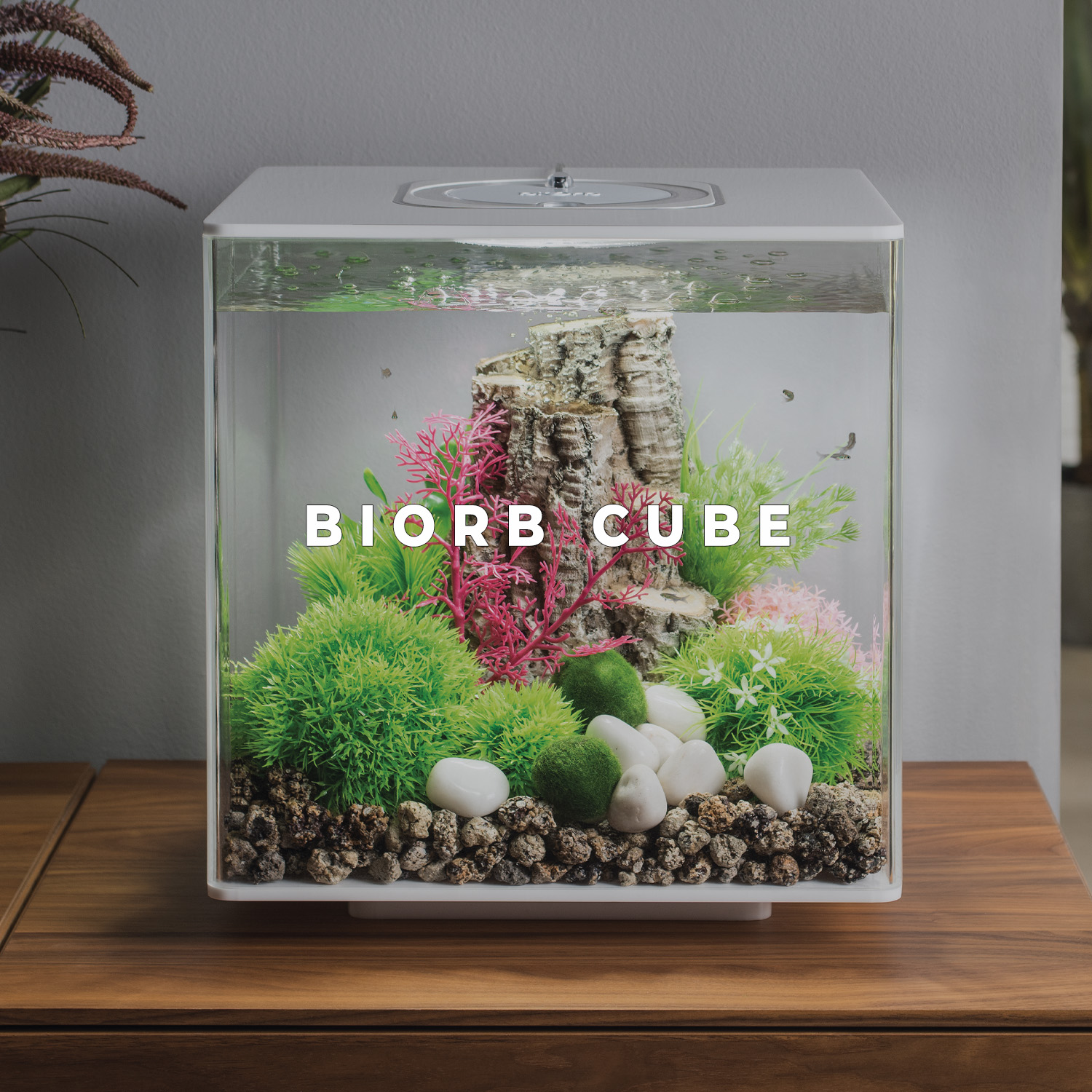 Aquarium biOrb Cube 
